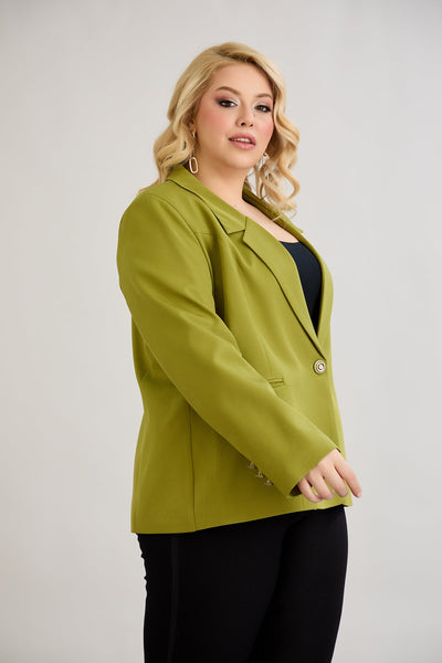 Sacou elegant si modern cu captuseala - fistic